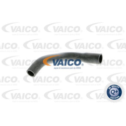 žarna, vožtuvo dangtelio alsuoklis Original VAICO Quality
                                                V401782, Nenurody