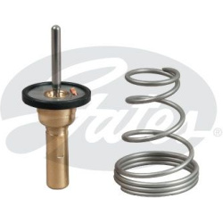termostatas, aušinimo skystis
                                GATES                                                TH49788G1