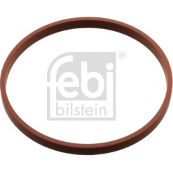 Tarpiklis, droselio korpusas
                                FEBI BILSTEIN                                                103