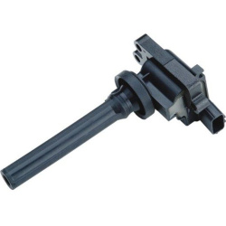 ritė, uždegimas
                                MAGNETI MARELLI                                                060717107012