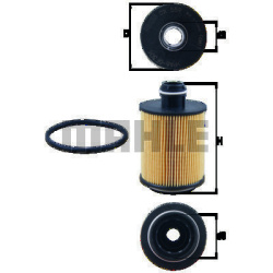 alyvos filtras
                                KNECHT                                OX559D, KNECHT, OX559D, auto detalė