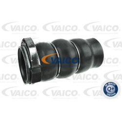 kompresoriaus padavimo žarna Original VAICO Quality
                                                V420606, Nenurodytas gam