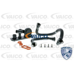 remonto komplektas, variklio karterio alsuoklis EXPERT KITS +
                                VAICO                          