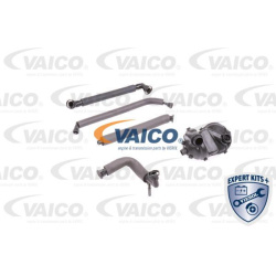 remonto komplektas, variklio karterio alsuoklis EXPERT KITS +
                                VAICO                          