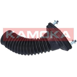 Amortizatoriaus atrama su guoliu
                                KAMOKA                                                209117