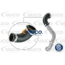 kompresoriaus padavimo žarna Original VAICO Quality
                                                V251050, Nenurodytas gam