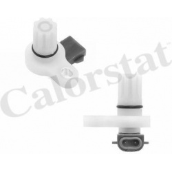 Daviklis alkūninio veleno padėties
                                CALORSTAT by Vernet                                     