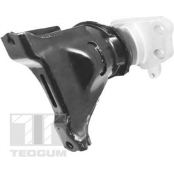 variklio montavimas
                                TEDGUM                                TED49865, TEDGUM, TED49865, auto de