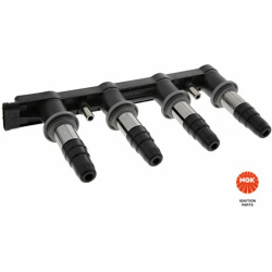 ritė, uždegimas
                                NGK                                                49076, NGK, 49076, auto 