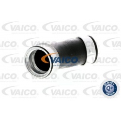 kompresoriaus padavimo žarna Q+, original equipment manufacturer quality
                                VAICO              