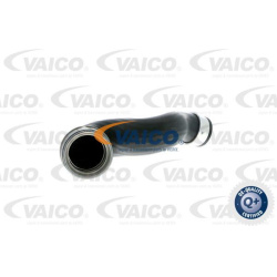 kompresoriaus padavimo žarna Q+, original equipment manufacturer quality
                                VAICO              