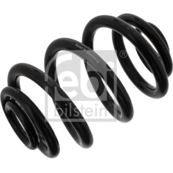 spyruoklė
                                FEBI BILSTEIN                                                38669, FEBI BILSTEIN,