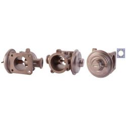 ERG vožtuvas
                                DRI                                                717710055, Nenurodytas gamin