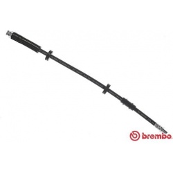 stabdžių žarnelė ESSENTIAL LINE
                                BREMBO                                                T11