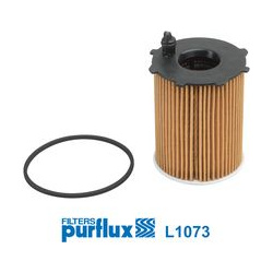 alyvos filtras
                                PURFLUX                                L1073, PURFLUX, L1073, auto detalė