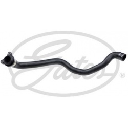 šildytuvo žarnelė
                                GATES                                02-1981, GATES, 02-1981, auto detal