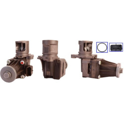 ERG vožtuvas
                                DRI                                                717730085, Nenurodytas gamin