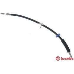 stabdžių žarnelė ESSENTIAL LINE
                                BREMBO                                                T61