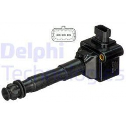ritė, uždegimas
                                DELPHI                                                GN10794-12B1, Nenurod
