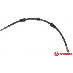 Stabdžių žarnelė priekinė
                                BREMBO                                T85126, BREMBO, T85126, 