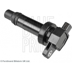 Ritė, uždegimas
                                BLUE PRINT                                                ADG01445, BLUE PR
