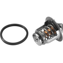 termostatas, aušinimo skystis
                                BorgWarner (Wahler)                                411955.88D,