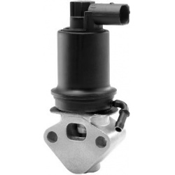 ERG vožtuvas
                                BorgWarner (Wahler)                                                710953R, Bor