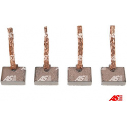 anglies šepetėlis, starteris AS
AS-PL SB1005