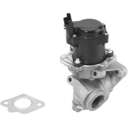 ERG vožtuvas
                                BorgWarner (Wahler)                                                710929R, Bor