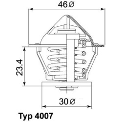 termostatas, aušinimo skystis
                                BorgWarner (Wahler)                                           