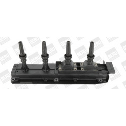 ritė, uždegimas
                                BorgWarner (BERU)                                                ZS349, Bor
