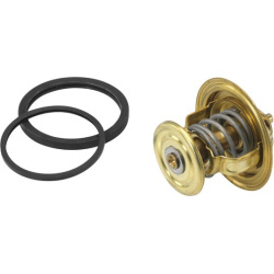 termostatas, aušinimo skystis
                                BorgWarner (Wahler)                                4256.80D60,
