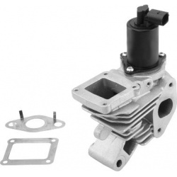 ERG vožtuvas
                                BorgWarner (Wahler)                                710959R, BorgWarner (Wahler)