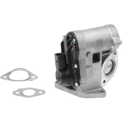ERG vožtuvas
                                BorgWarner (Wahler)                                710930R, BorgWarner (Wahler)