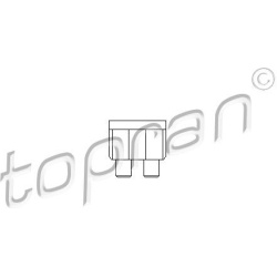 TOPRAN                                                113 244, Nenurodytas gamintojas, 113244, auto detalė