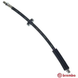 stabdžių žarnelė ESSENTIAL LINE
                                BREMBO                                                T85