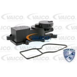 alyvos atskyriklis, karterio alsuoklis EXPERT KITS +
                                VAICO                                   