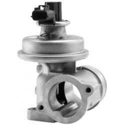 ERG vožtuvas
                                BorgWarner (Wahler)                                                710923R, Bor