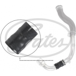 kompresoriaus padavimo žarna
                                GATES                                                09-1298, G