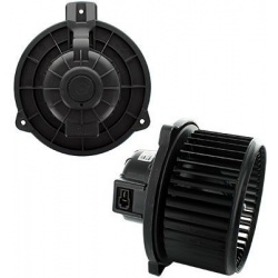 vidaus pūtiklis
                                MEAT &amp; DORIA                                                K92176, Nenu