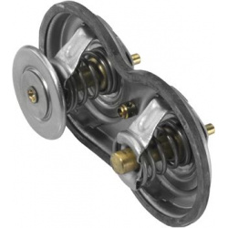 termostatas, aušinimo skystis
                                BorgWarner (Wahler)                                4223.75D, B