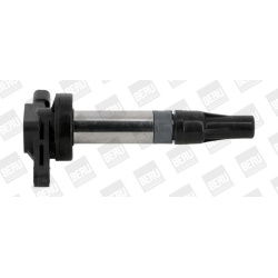 ritė, uždegimas
                                BorgWarner (BERU)                                                ZSE 196, B