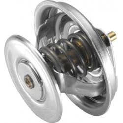 termostatas, aušinimo skystis
                                BorgWarner (Wahler)                                4161.83, Bo