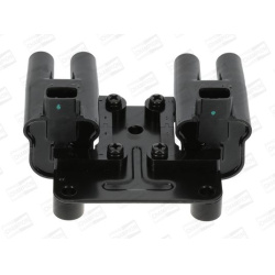 ritė, uždegimas
                                CHAMPION                                                BAEA543, CHAMPION, 