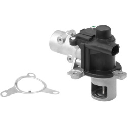 ERG vožtuvas
                                BorgWarner (Wahler)                                                710928R, Bor