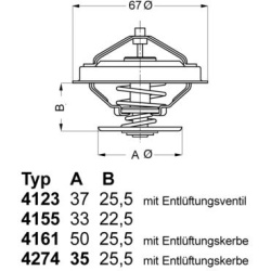 termostatas, aušinimo skystis
                                BorgWarner (Wahler)                                           