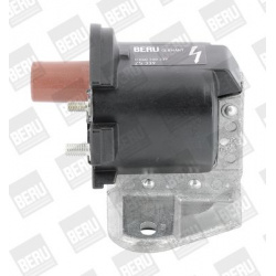ritė, uždegimas
                                BorgWarner (BERU)                                                ZS 339, Bo