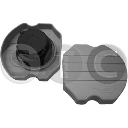 dangtelis, alyvos pildymo anga
                                STC                                                T438365, ST