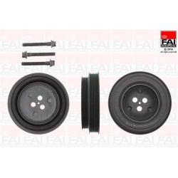 alkūninio veleno skriemulių rinkinys
                                FAI AutoParts                                FVD1009K,