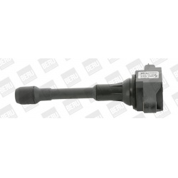 ritė, uždegimas
                                BorgWarner (BERU)                                                ZSE 088, B